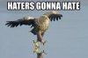 Haters gonna.jpg
