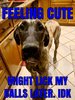 FB_IMG_1555597786578.jpg