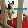 FB_IMG_1549868072988.jpg