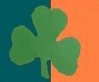 Irish Phin Fan
